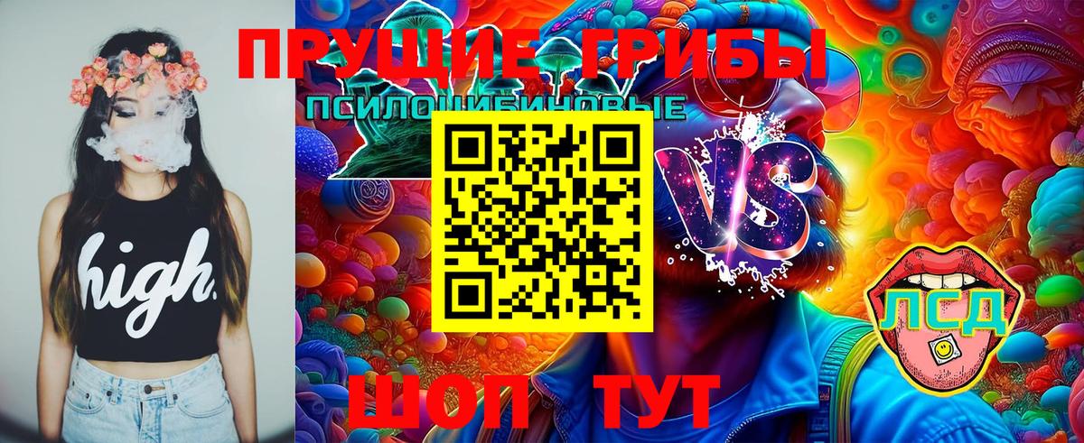 Галлюциногенные грибы Psilocybe  Вход с VPN  Нефтекумск 
